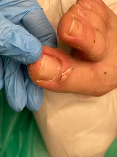 Podolog Anna Serwaczak